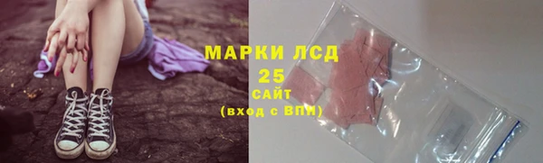 крисы Новодвинск