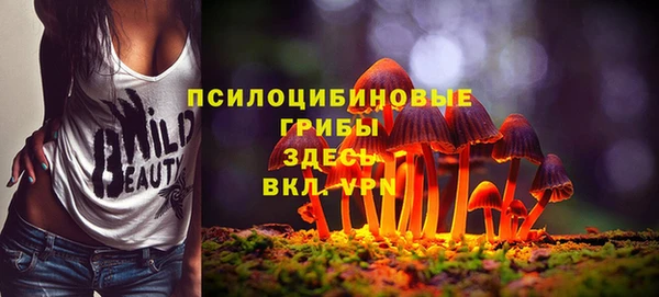 наркотики Алексин