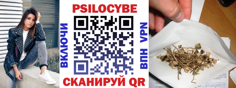Псилоцибиновые грибы Psilocybe  Таштагол 